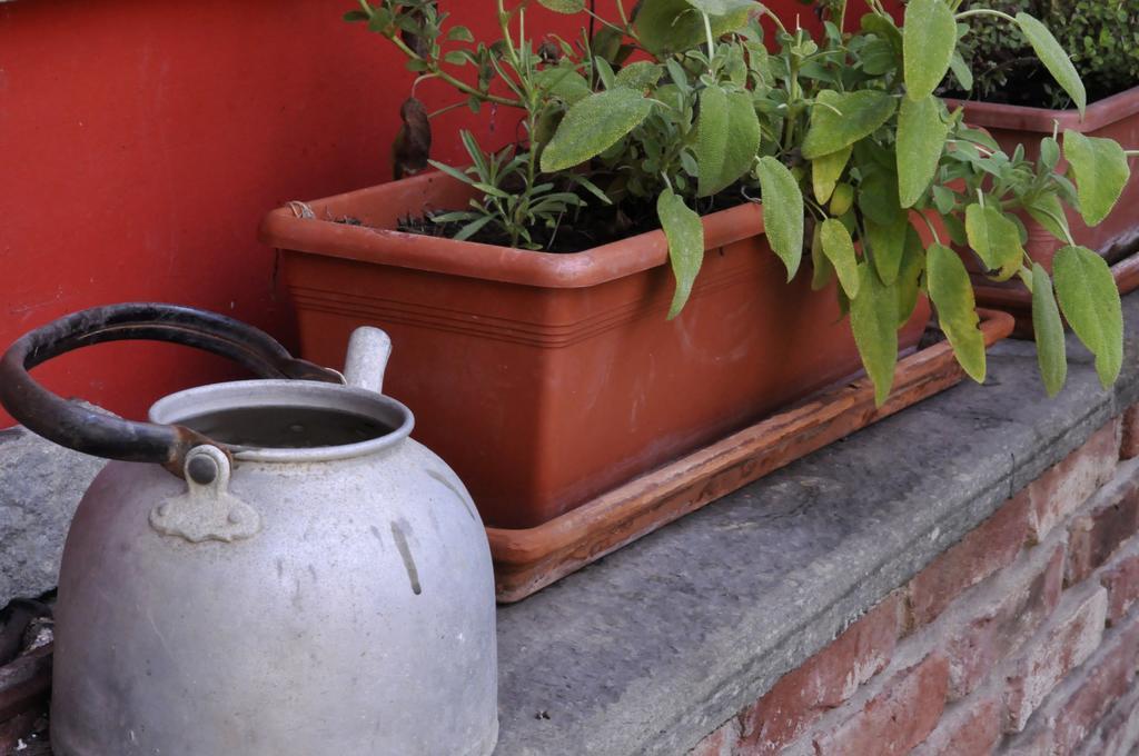 B&B Edera Castagnole Piemonte Extérieur photo